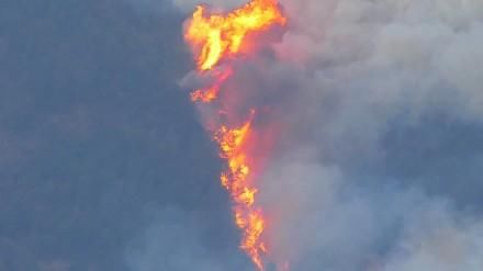 大理苍山大火,下午15点15分发现至凌晨12点3