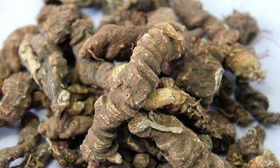 荨麻疹的天敌,地边的一株草,杀菌消肿,不反复