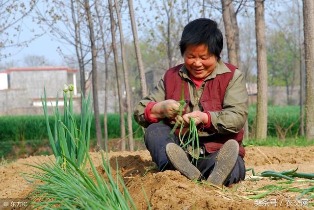 农村离异妇女、外嫁女儿会失地吗?农村妇女的