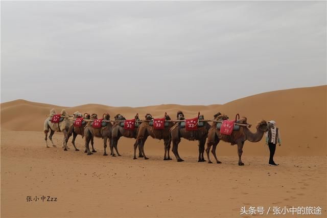 7天18处景点,10000字攻略玩转宁夏