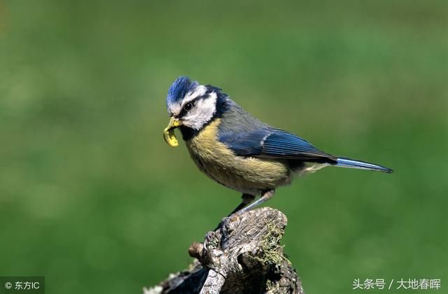 36条混社会的经验和忠告,句子虽短,受用一生