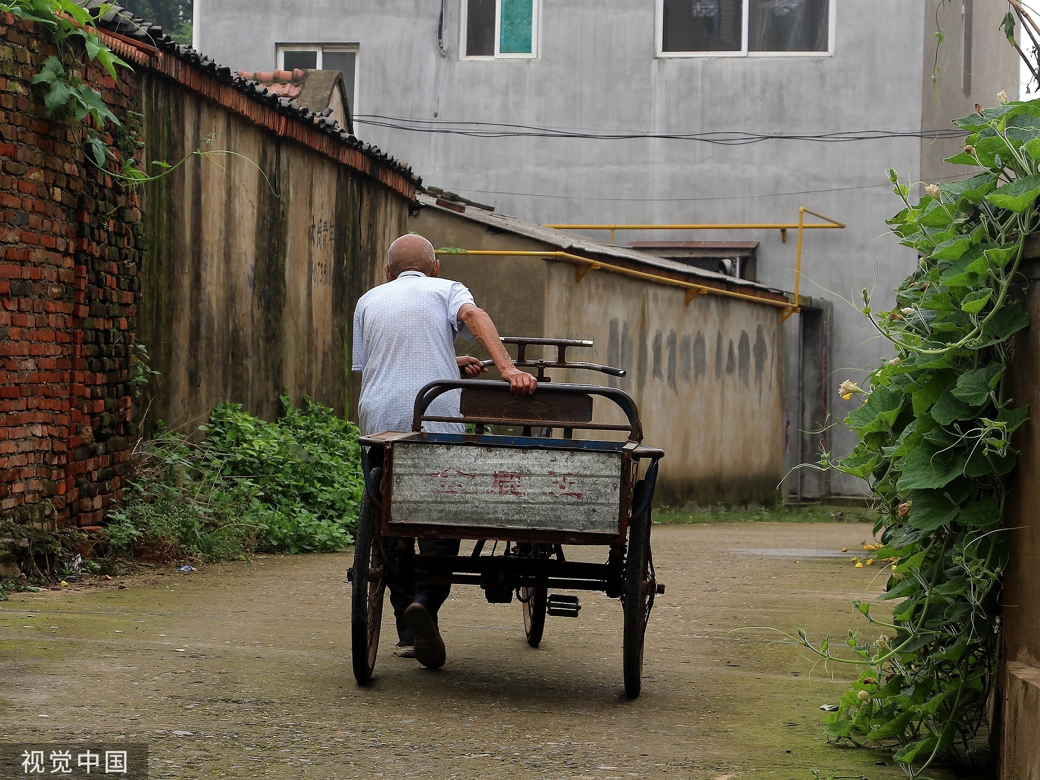 94岁老人喜爱田园生活 骑行三轮车似年轻人