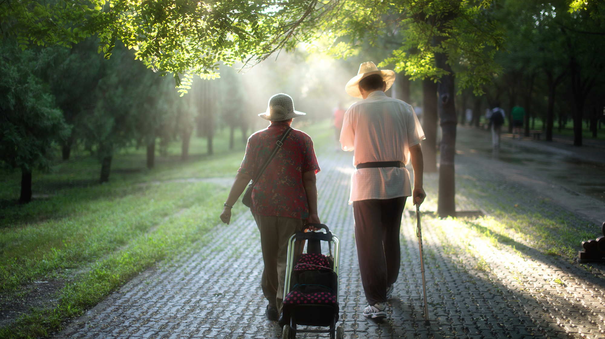 模特秀口琴演奏太极功夫扇 这个重阳节太有爱 模特秀口琴演奏太极功夫扇 这个重阳节太有爱