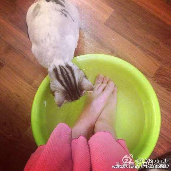 美脚丫女明星,精选美足荟萃8,高圆圆-李菲儿-乔