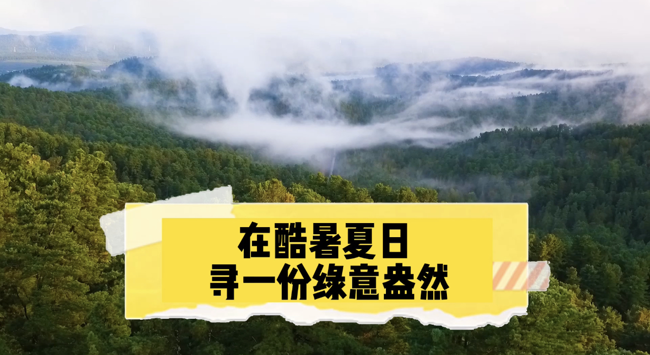 在酷暑夏日寻一份缘意盎然 在酷暑夏日寻一份缘意盎然
