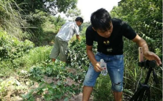 18年三大农业新经济,不务农也能全家暴富,