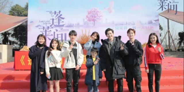 2019年迄今为止拍摄的八部IP小说改编的现代