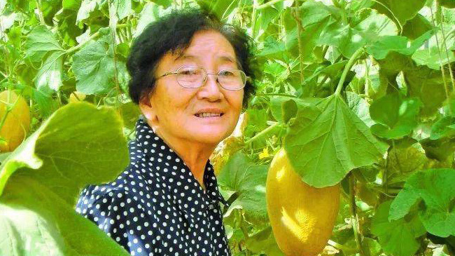 你知道吗？中国人每年要吃掉160亿个西瓜  感谢西瓜奶奶带来吃瓜自由