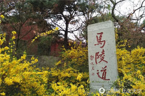 两朵花决定孙膑庞涓命运:鬼谷子对两位徒弟的