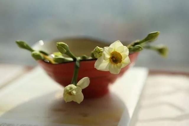 中国最美的古典诗词,流连在古诗词的唯美意境