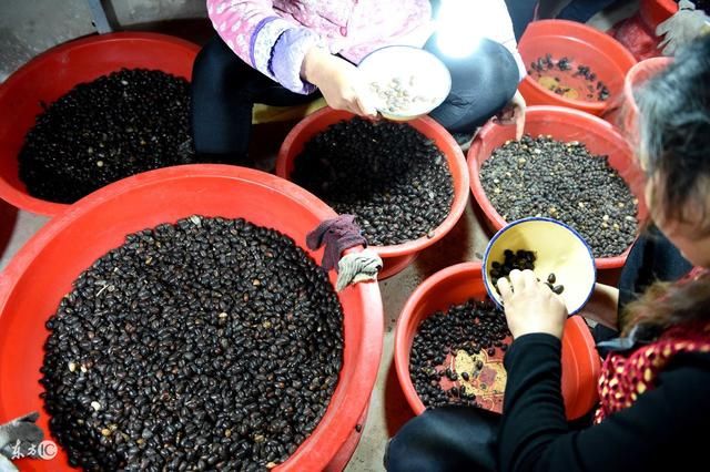 土料子的危害比冰毒还大吗,怎么才能完全杜绝
