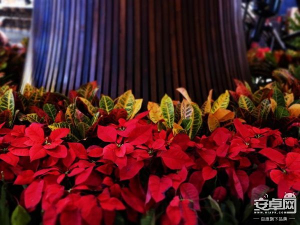 佳能微单M100 实力派家用相机