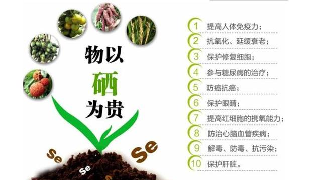 绝大多数都是"无机硒",效果自然不行,海参中的硒,主要以亚硒酸钠的