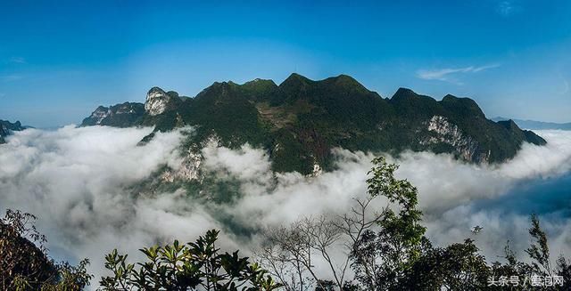 中国最壮美河谷,浮在城市上空的原始森林公园