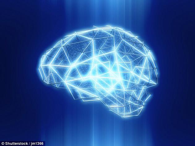 最新研究称人类大脑非常复杂具有11维几何空间 最新研究称人类大脑非常复杂具有11维几何空间