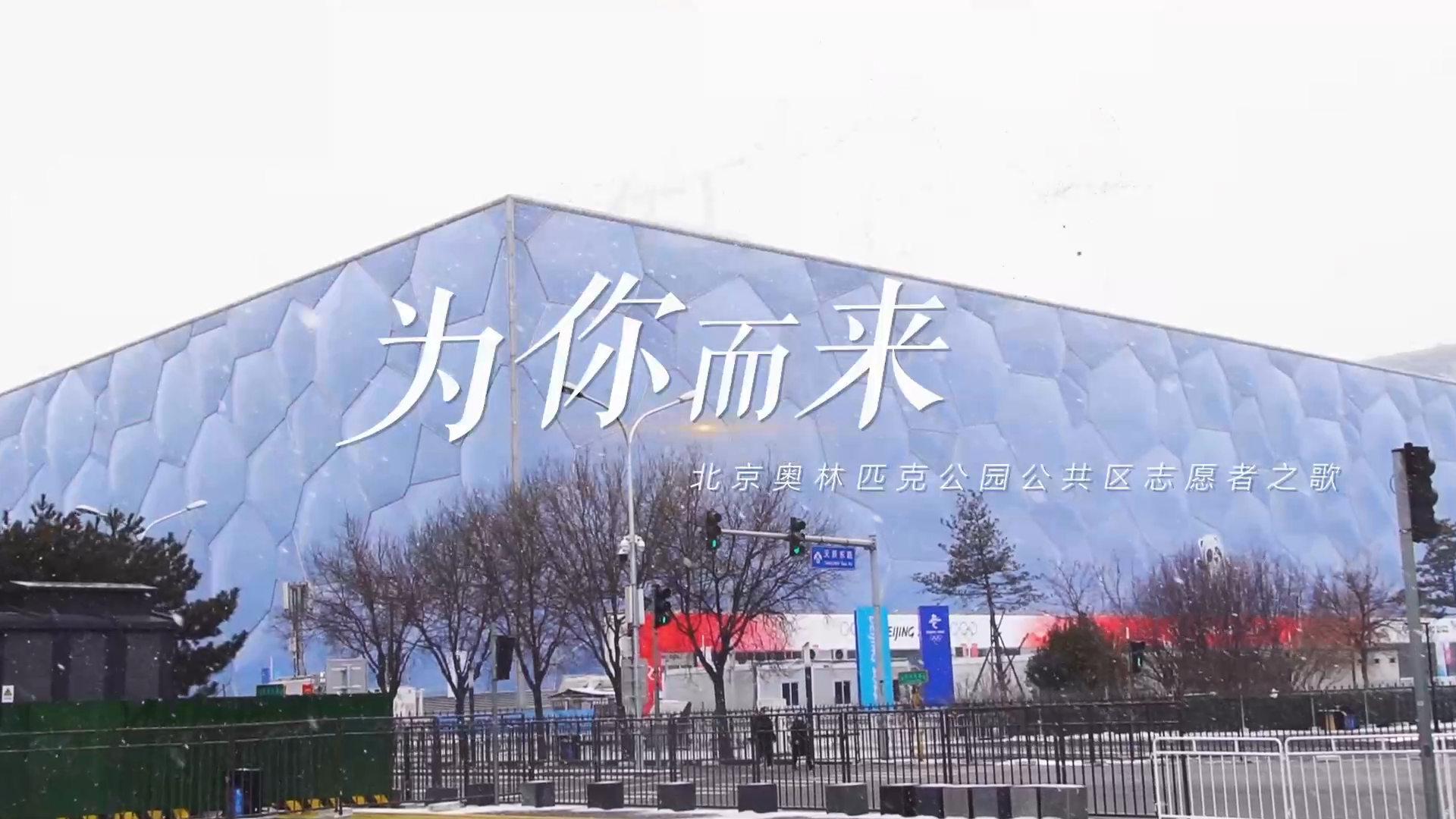 《为你而来——公共区志愿者之歌》MV 《为你而来——公共区志愿者之歌》MV