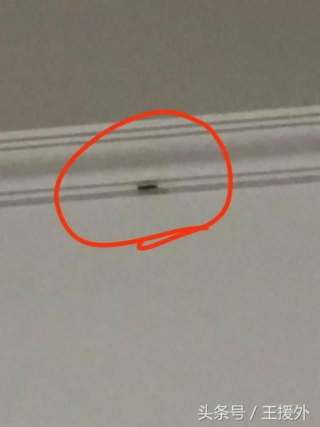 外卖小哥技能大全,会送外卖打游戏抓小偷还得