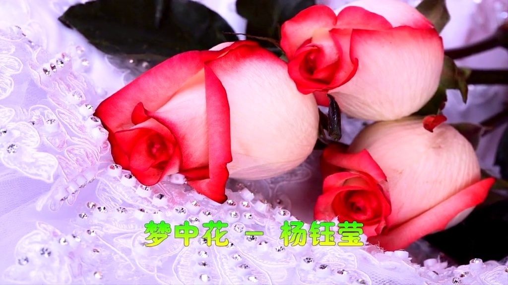 甜美歌后杨钰莹《梦中花》好听哭了!