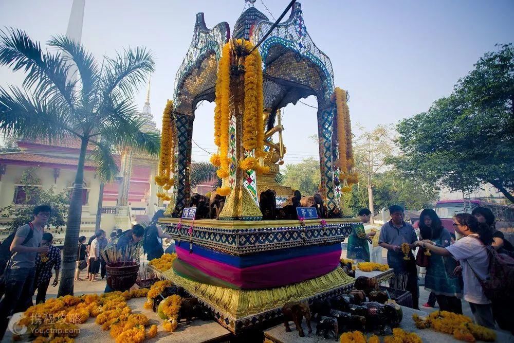 泰国旅游9大骗局!中国同胞屡屡中招,有的甚至