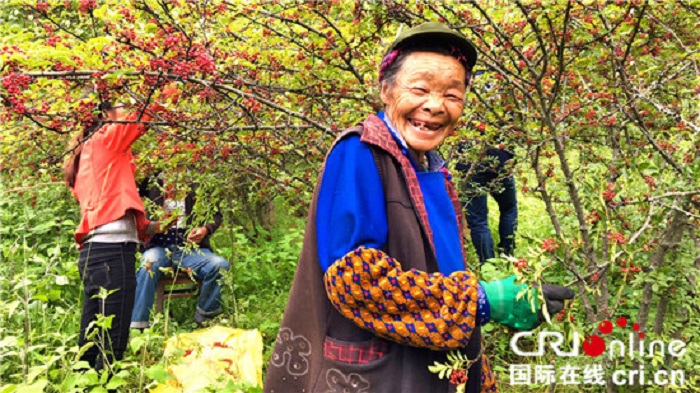 依靠花椒脱贫的村民脸上幸福的笑容格外灿烂