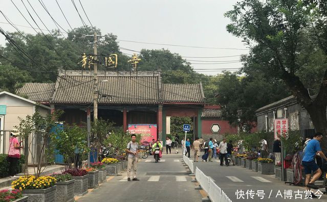 一年只有一次! 带你走进报国寺钱币交流会!逛市