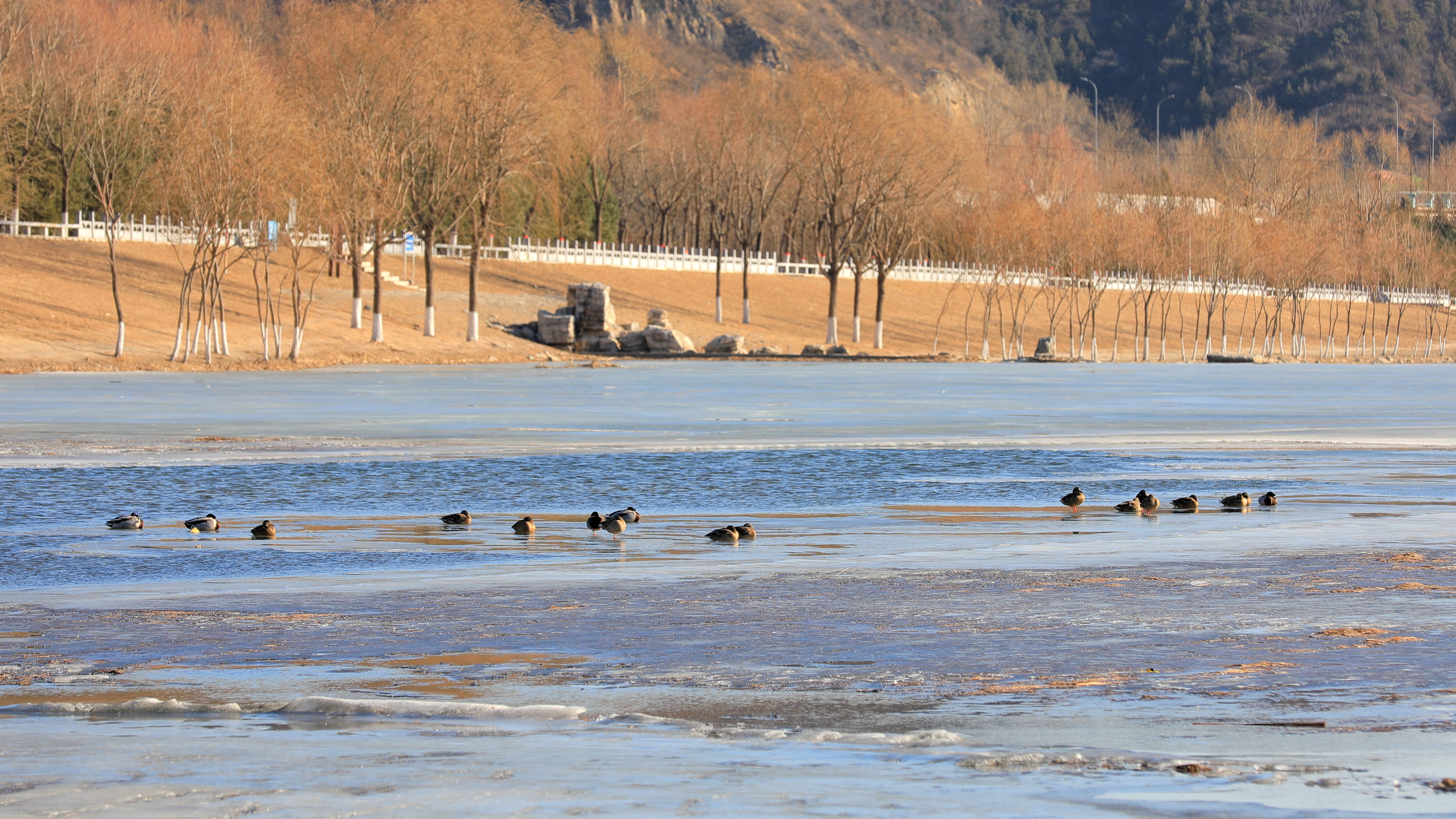 门头沟永定河冰场预约图片