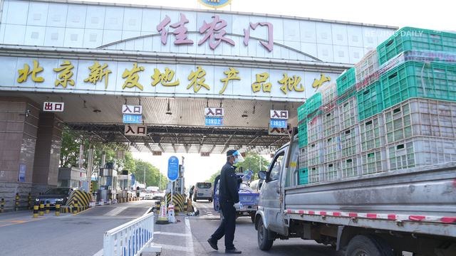 为什么说北京不用囤菜?直击北京“菜篮子”新发地 为什么说北京不用囤菜?直击北京“菜篮子”新发地