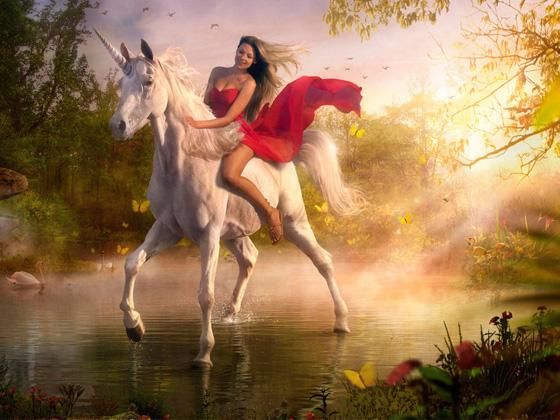 什么是股市独角兽