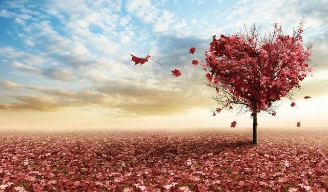 等我喜欢的人点赞了,我就删掉这条朋友圈