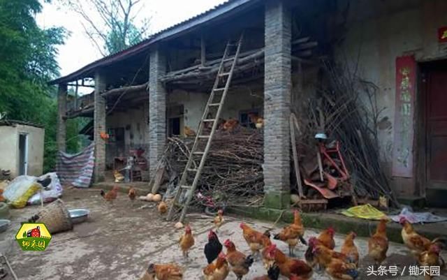 2018年宅基地新政出台,又有许多农民要偷着乐