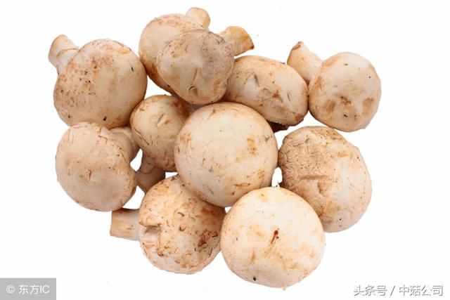 干香菇将涨到每斤35元以上?