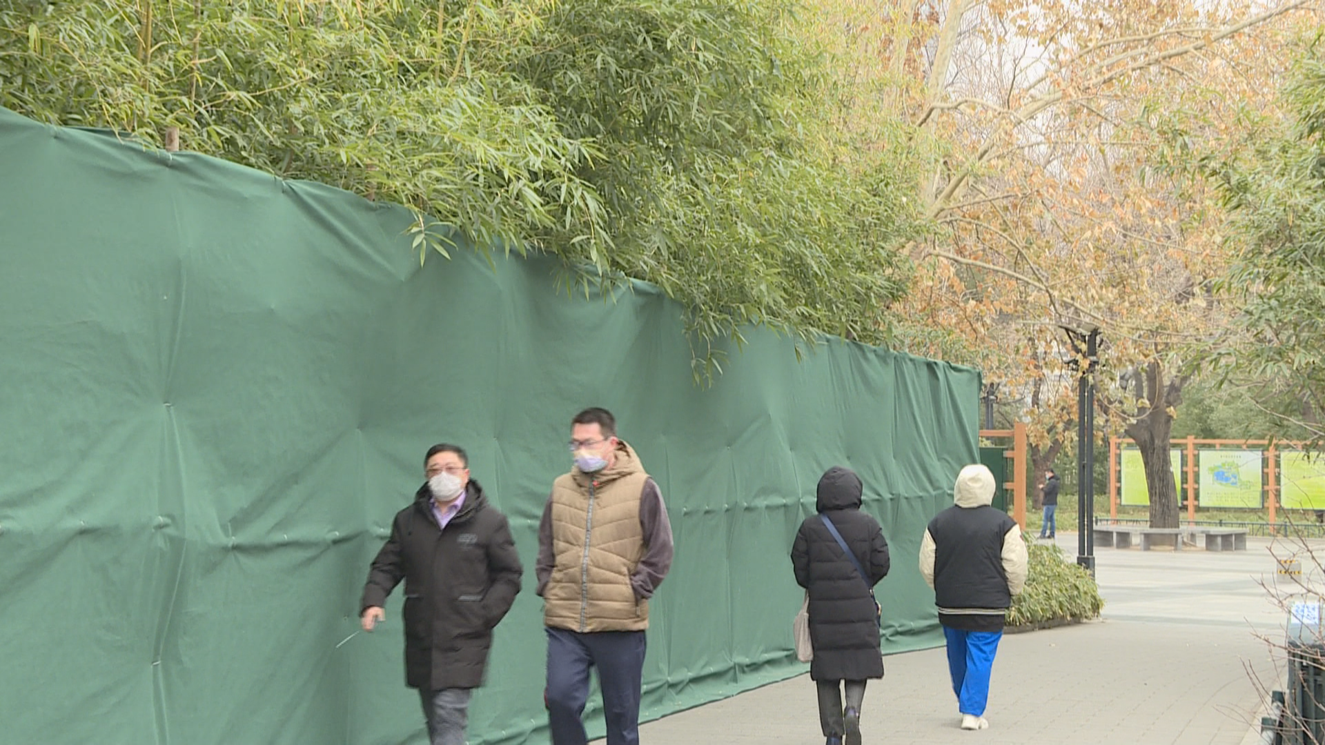 因地制宜!南方植物在北京“穿衣”过冬 因地制宜!南方植物在北京“穿衣”过冬