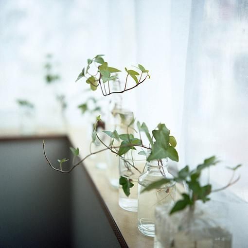 看淡人生的句子,句句霸气经典,总结得太精辟了