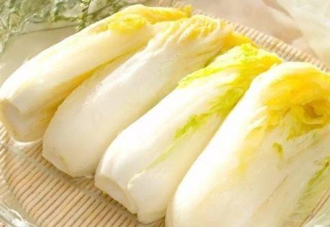 娃娃菜是在大白菜成熟收割后,用土把大白菜的菜埋住,之后根部发芽并