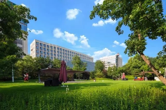 人工智能重磅利好 蜂巢科技广场战略布局