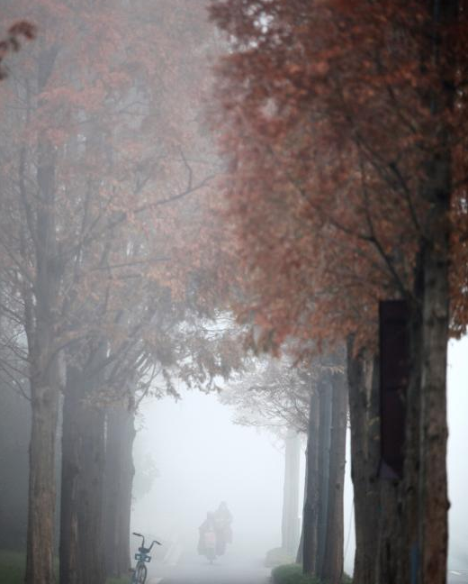 11月26日，全国多地出现大雾天气，影响市民出行。中央气象台26日晨通报，全国多地出现低能见度的大雾天气，江苏中南部、浙江北部、安徽南部等地能见度不足500米，局地能见度不足50米。图为扬州大雾笼罩，市民在大雾中出行。