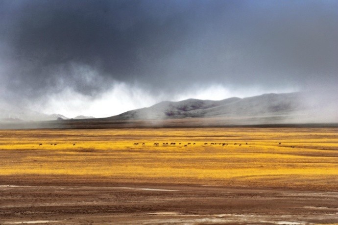 适合学生暑假兼职赚钱的工作有哪些?宝妈手机