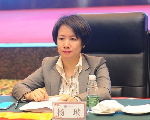 吴莉萍轮值会长宣读《关于开展2017年度湖南省饭店行业奖项评选活动的