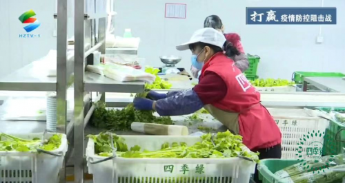 四季绿农业蔬菜送一线 心系疫情稳定市场(图3) 四季绿农业蔬菜送一线 心系疫情稳定市场(图3)