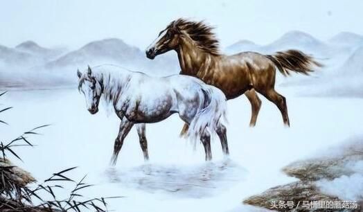 十二生肖人品大排名,他们才是状元,榜眼和探花