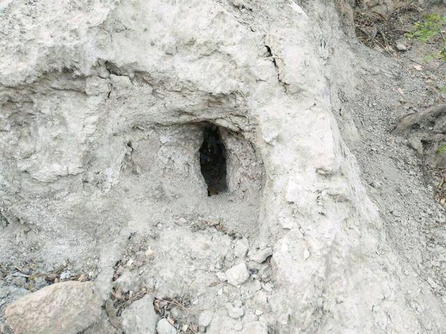 在朋友圈发满月儿子照片,一同学转账5千说是给