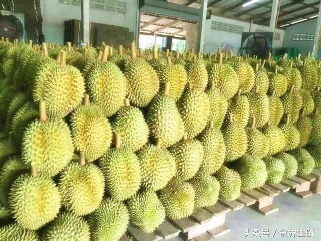 泰国平民消费者苦不堪言,或已成中国企业竞争