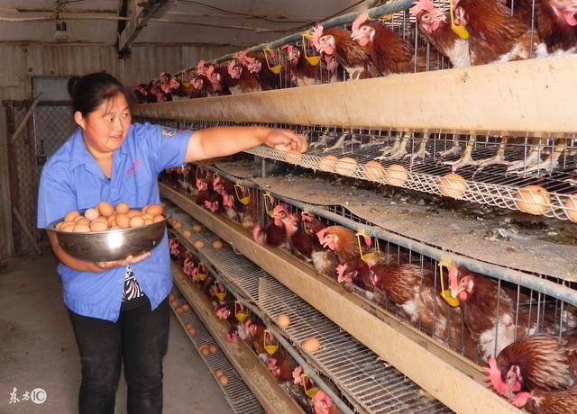 养殖难于上青天,这3条管制治死养殖户,同意请转发!