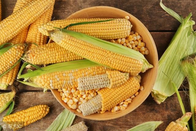 杰哥观市:玉米炒作点多期货盘面走强 现货价格