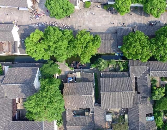 这里可能是江浙沪年味最浓的小镇