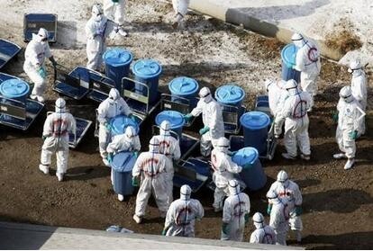 鸡禽流感预防为什么总是失败,如何才能预防