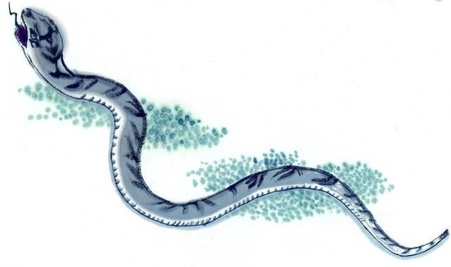 月下旬,运势高涨,生活大变样,一生福气深厚的生肖