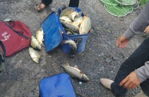 新手钓鱼入门的基本功,勤加练习中鱼 so easy!