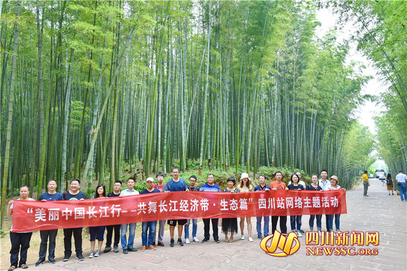 【美丽中国长江行】宜宾因地制宜做好“竹文章”打出“竹王牌” 【美丽中国长江行】宜宾因地制宜做好“竹文章”打出“竹王牌”
