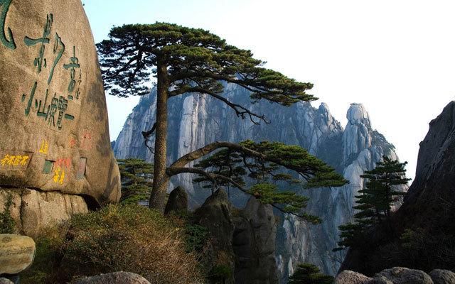 中国十大必去旅游景点,去过4个算及格,6个以上